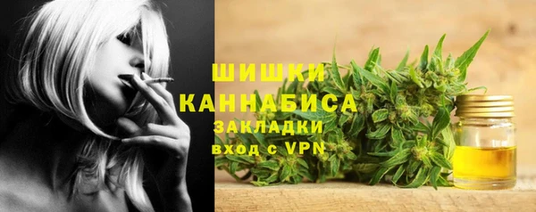 индика Володарск