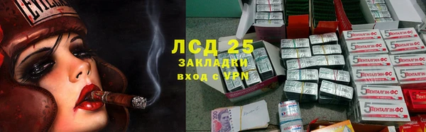 индика Володарск
