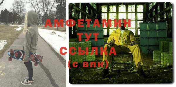 индика Володарск