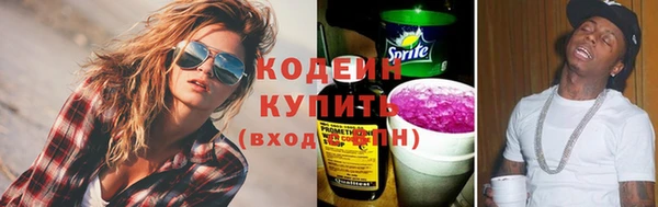 индика Володарск