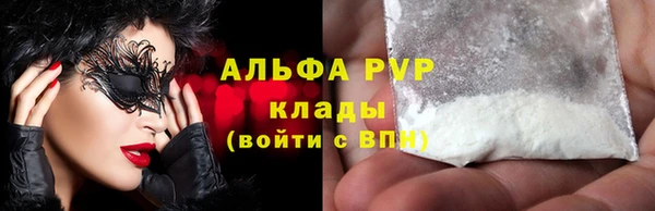 индика Володарск