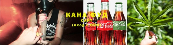 индика Володарск
