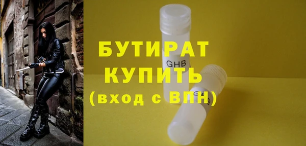 индика Володарск