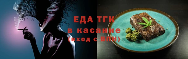 индика Володарск