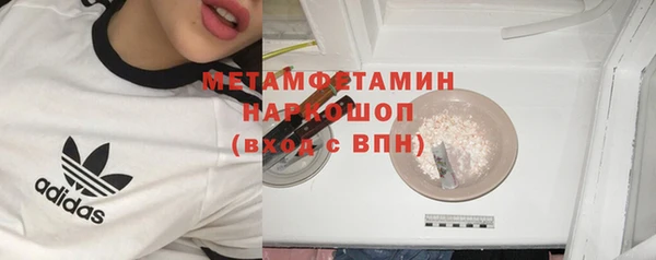 индика Володарск