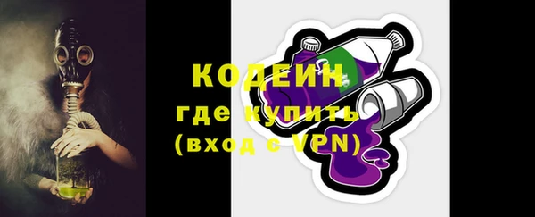 индика Володарск