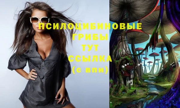 шишки Волоколамск