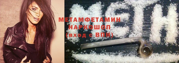 индика Володарск