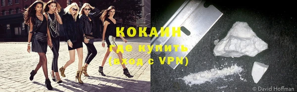 индика Володарск