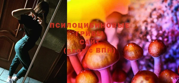индика Володарск