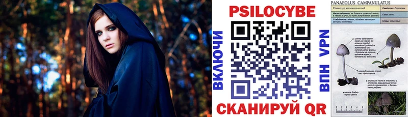 Псилоцибиновые грибы мухоморы Корсаков