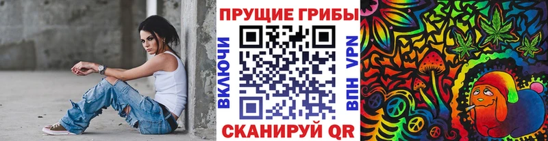 Купить  Корсаков  Псилоцибиновые грибы Psilocybine cubensis 
